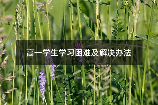 高一學生學習困難及解決辦法