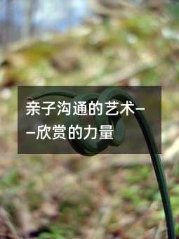 親子溝通的藝術——欣賞的力量