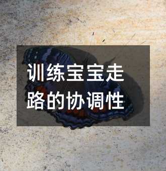 訓練寶寶走路的協調性