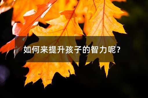 ΁ӵ