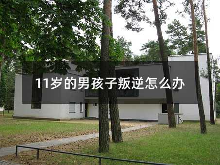 11qкôk