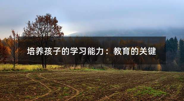 培養(yǎng)孩子的學(xué)習(xí)能力:教育的關(guān)鍵