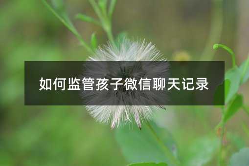 如何監管孩子微信聊天記錄