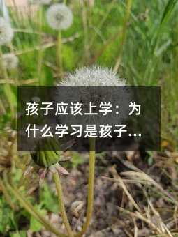 孩子應(yīng)該上學(xué):為什么學(xué)習(xí)是孩子成長的基礎(chǔ)?