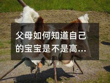 父母如何知道自己的寶寶是不是高智商