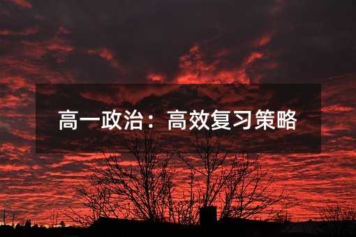 高一政治:高效復(fù)習(xí)策略