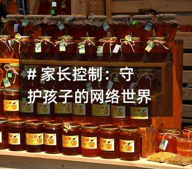 # 家長控制:守護(hù)孩子的網(wǎng)絡(luò)世界