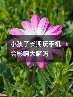 СL֙CӰ푴X