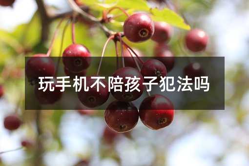 玩手機(jī)不陪孩子犯法嗎