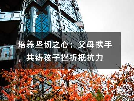 培養堅韌之心:父母攜手,共鑄孩子挫折抵抗力