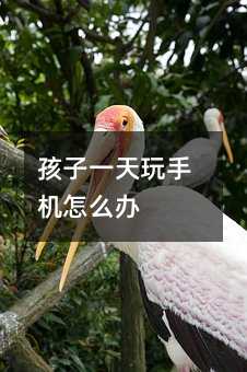 孩子一天玩手機(jī)怎么辦