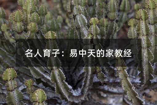 名人育子:易中天的家教經
