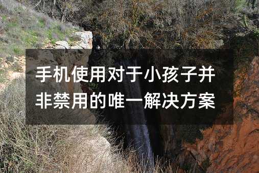 手機(jī)使用對于小孩子并非禁用的唯一解決方案