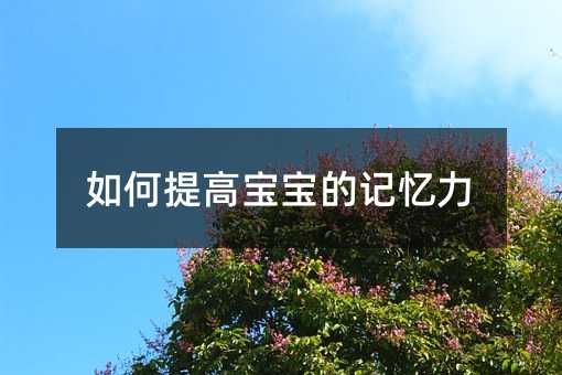 如何提高寶寶的記憶力