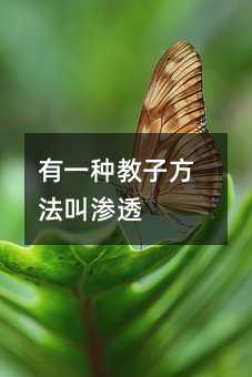 有一種教子方法叫滲透