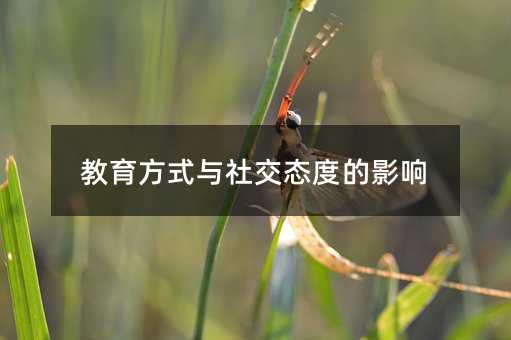 教育方式與社交態(tài)度的影響