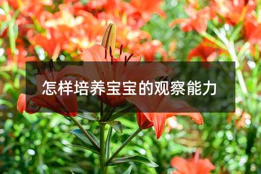 怎樣培養(yǎng)寶寶的觀察能力