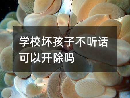 �WУ�ĺ��Ӳ� Ԓ�����_����