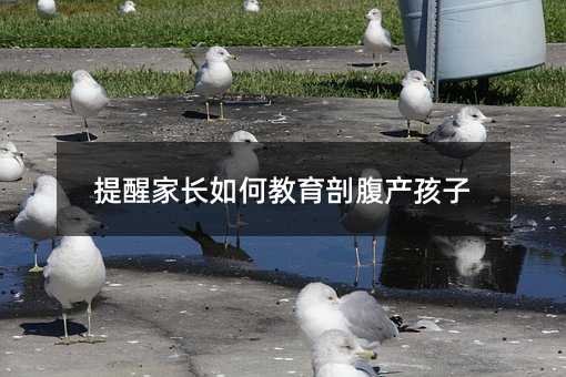 提醒家長如何教育剖腹產(chǎn)孩子
