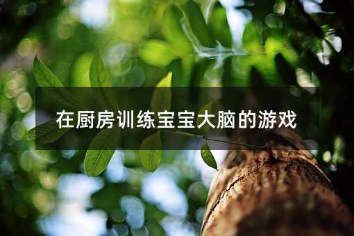 在廚房訓練寶寶大腦的游戲