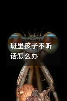 班里孩子不聽話怎么辦