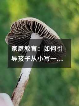 ͥӏСһֺ֣