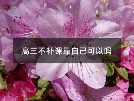 高三不補課靠自己可以嗎