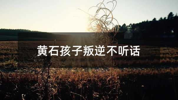 黃石孩子叛逆不聽話