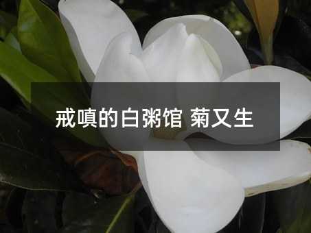 戒嗔的白粥館 菊又生