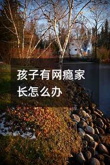 孩子有網癮家長怎么辦