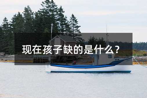 現在孩子缺的是什么?