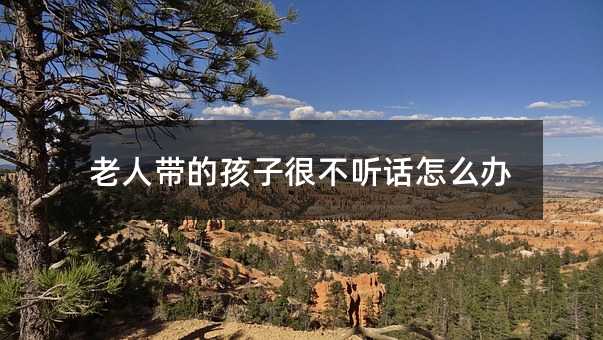 老人帶的孩子很不聽話怎么辦