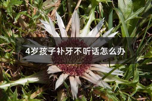 4歲孩子補牙不聽話怎么辦