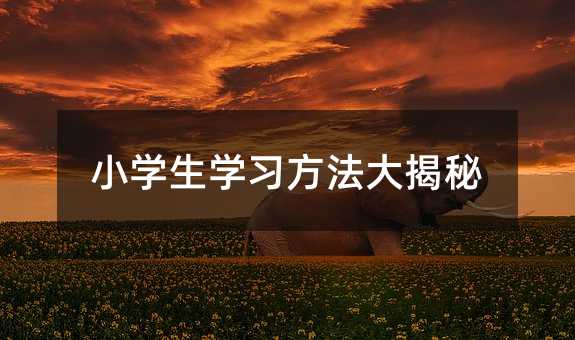 小學(xué)生學(xué)習(xí)方法大揭秘