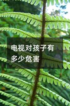 電視對孩子有多少危害