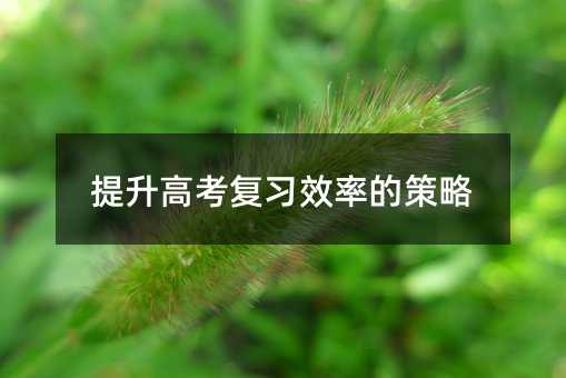 提升高考復習效率的策略