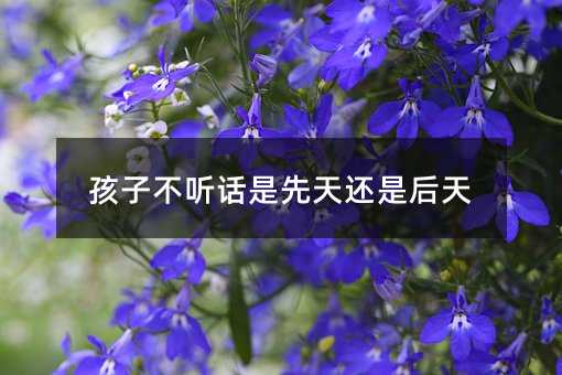 孩子不聽(tīng)話是先天還是后天