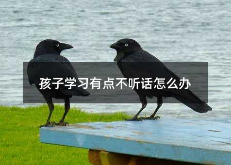 ӌW(xu)(x)c(din) Ԓôk