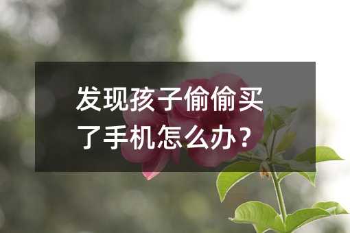 發(fā)現(xiàn)孩子偷偷買(mǎi)了手機(jī)怎么辦?