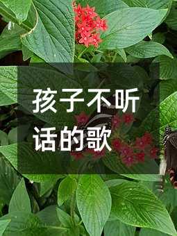 孩子不聽話的歌