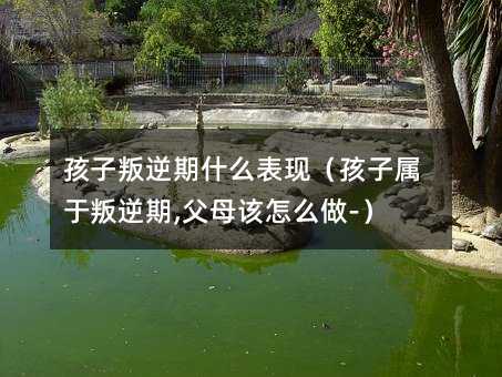 孩子叛逆期什么表現(孩子屬于叛逆期,父母該怎么做-)