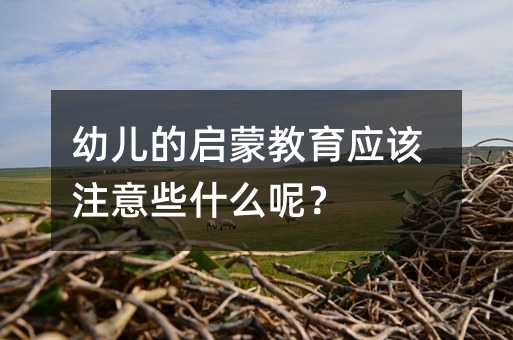 幼兒的啟蒙教育應(yīng)該注意些什么呢?