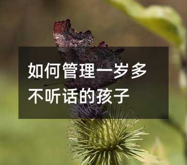 ιһq಻ Ԓĺ