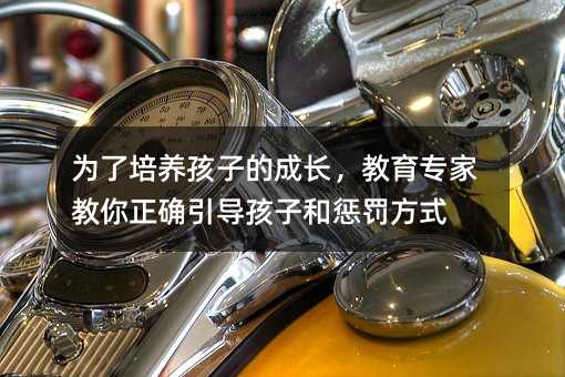 為了培養(yǎng)孩子的成長,教育專家教你正確引導孩子和懲罰方式