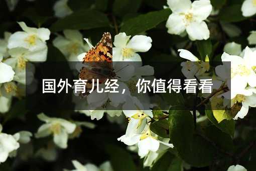 國外育兒經(jīng),你值得看看