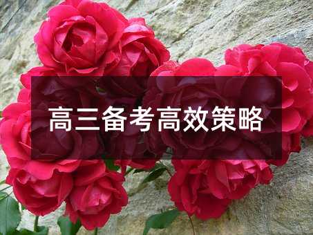 高三備考高效策略