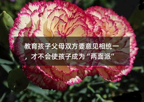 教育孩子父母雙方要意見相統(tǒng)一,才不會使孩子成為“兩面派”