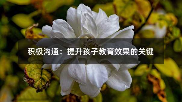 積極溝通:提升孩子教育效果的關(guān)鍵