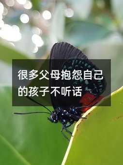 很多父母抱怨自己的孩子不聽(tīng)話