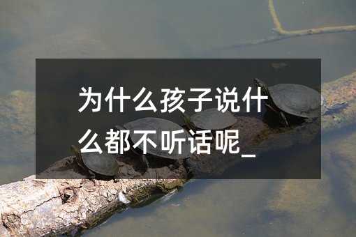 為什么孩子說什么都不聽話呢_